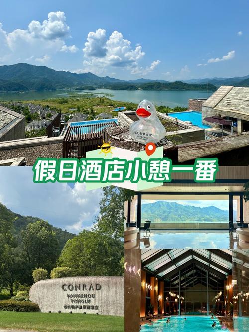 江门小鸟天堂酒店怎么预订最优惠？-第3张图片-德高鼎泰便民中心