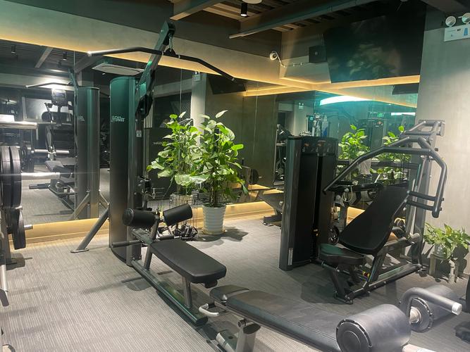 大兴区健身私教工作室怎么选靠谱?-第1张图片-德高鼎泰便民中心 大兴区健身私教工作室怎么选靠谱?-第1张图片-德高鼎泰便民中心