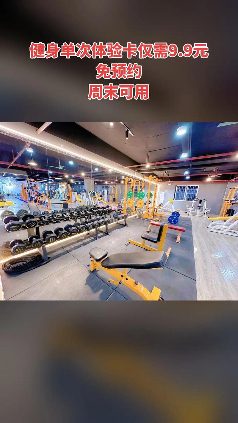 珠海韦力斯健身房价格多少？-第3张图片-德高鼎泰便民中心
