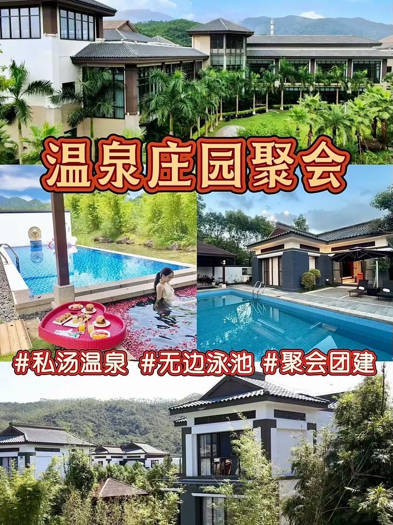 汕尾温泉别墅酒店怎么订？-第3张图片-德高鼎泰便民中心