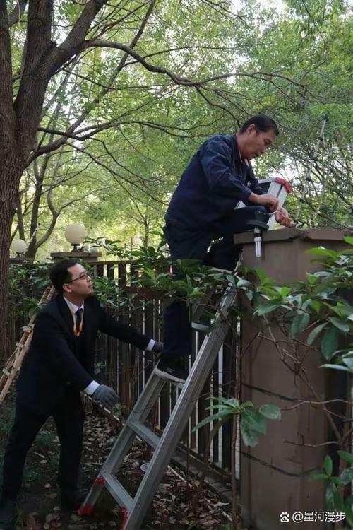 上海物业为何不用外地物业？-第2张图片-德高鼎泰便民中心