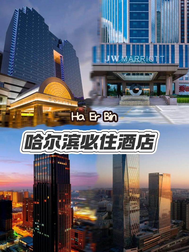 哈尔滨财富大酒店怎么预订最优惠？-第1张图片-德高鼎泰便民中心