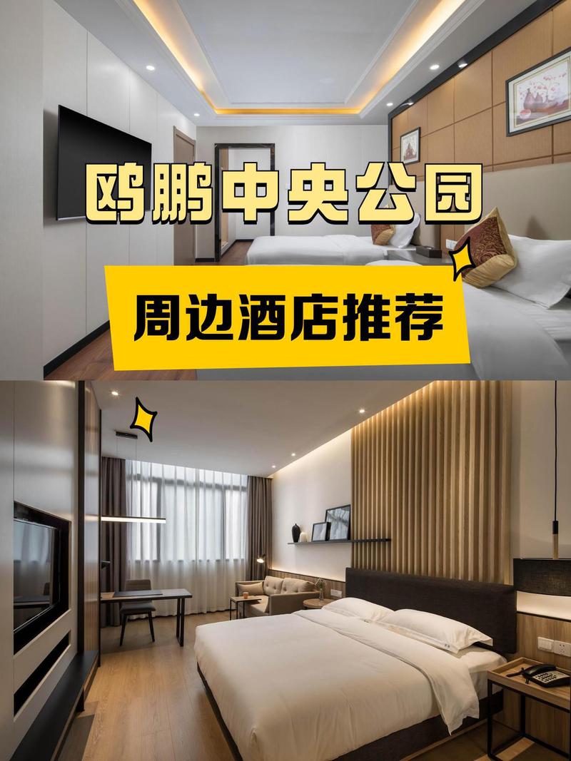 重庆空港广场酒店怎么预订最优惠？-第3张图片-德高鼎泰便民中心