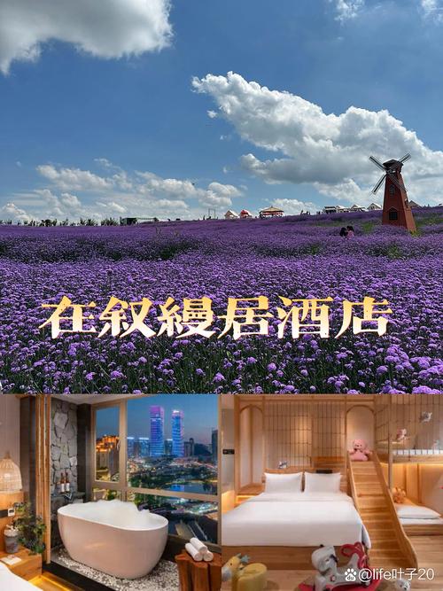 梅林浪漫艺术酒店预订怎么选最划算?-第1张图片-德高鼎泰便民中心 梅林浪漫艺术酒店预订怎么选最划算?-第1张图片-德高鼎泰便民中心