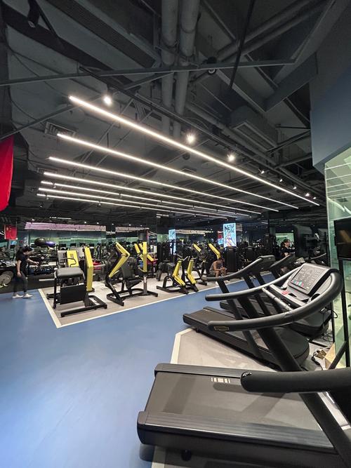 重庆市北京踏月健身房有何特色?-第2张图片-德高鼎泰便民中心 重庆市北京踏月健身房有何特色?-第2张图片-德高鼎泰便民中心