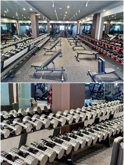 哈尔滨健身房怎么选？-第3张图片-德高鼎泰便民中心