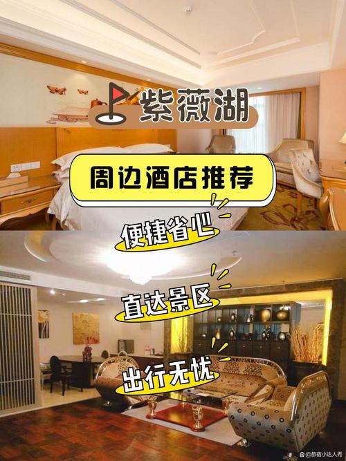 长沙紫酒店预订哪家好？-第3张图片-德高鼎泰便民中心