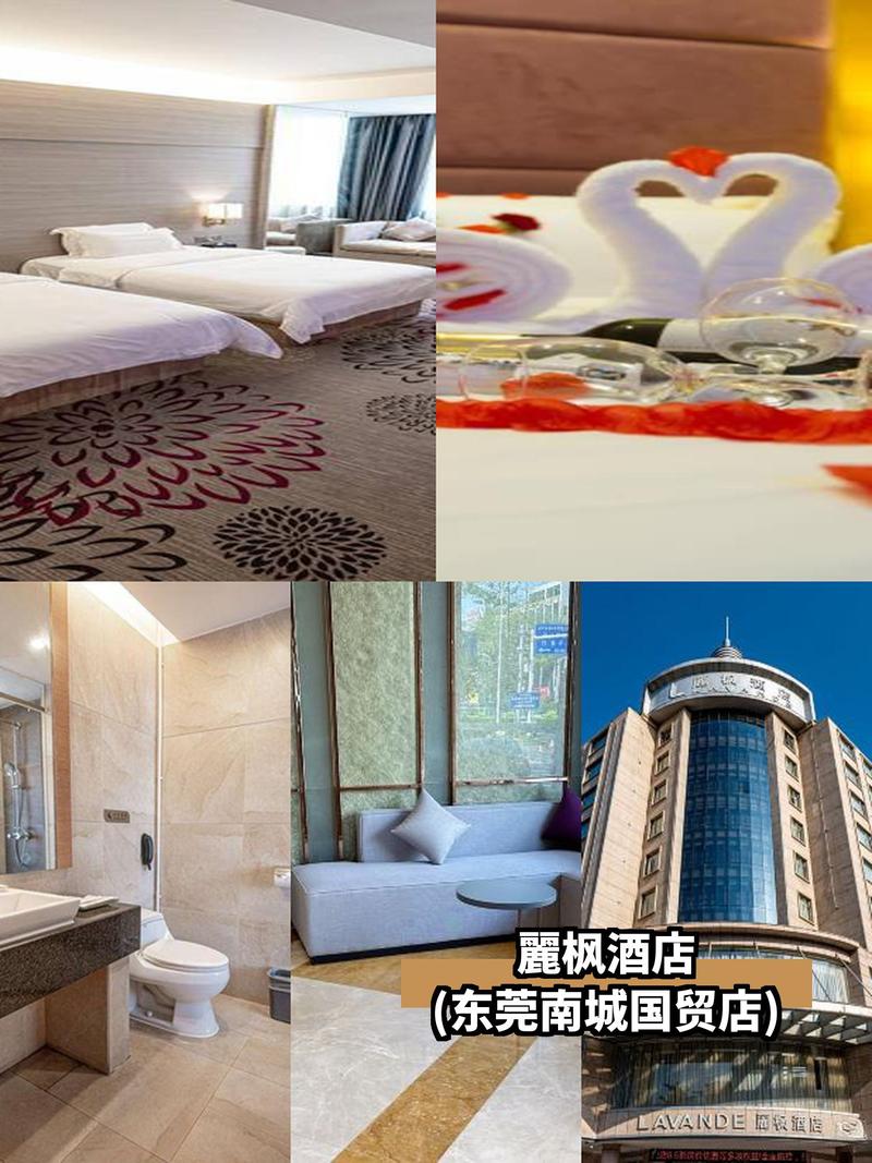 黄岛新城国际酒店怎么预订最优惠?-第1张图片-德高鼎泰便民中心 黄岛新城国际酒店怎么预订最优惠?-第1张图片-德高鼎泰便民中心