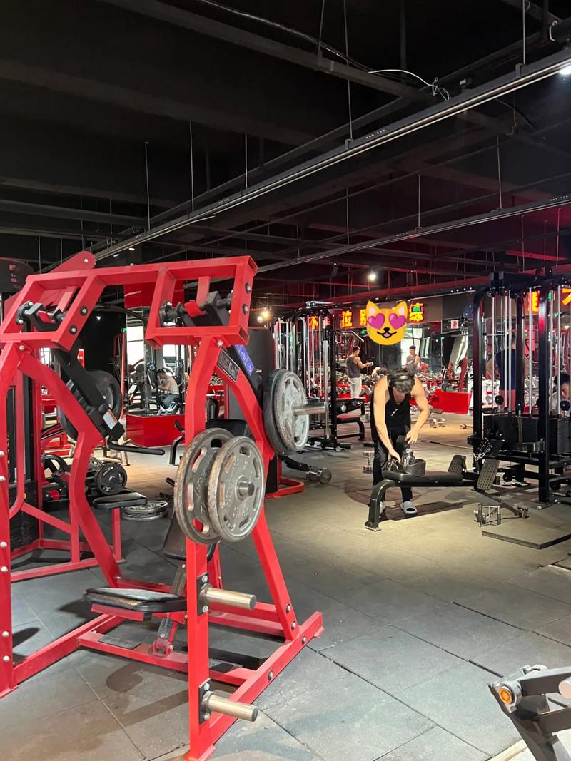 沈阳铁西健身房有哪些推荐?-第2张图片-德高鼎泰便民中心 沈阳铁西健身房有哪些推荐?-第2张图片-德高鼎泰便民中心