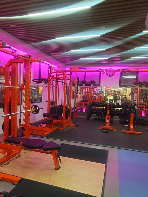 沈阳铁西健身房有哪些推荐？-第3张图片-德高鼎泰便民中心