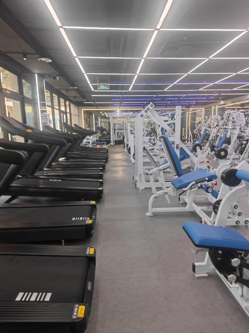 邢台健身工作室数量有多少?-第1张图片-德高鼎泰便民中心 邢台健身工作室数量有多少?-第1张图片-德高鼎泰便民中心