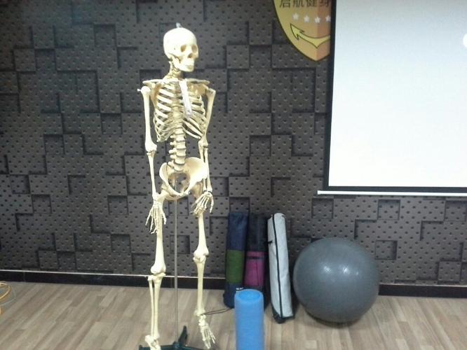 倍龙国际健身学院学费多少？-第3张图片-德高鼎泰便民中心