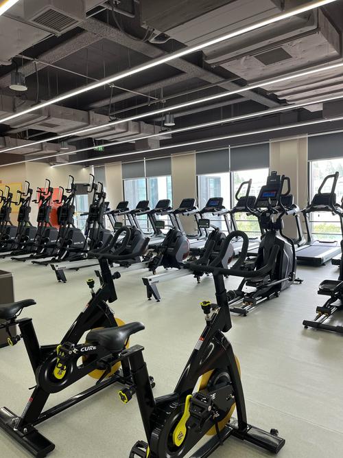 上海魔兽健身中心地址在哪？-第1张图片-德高鼎泰便民中心