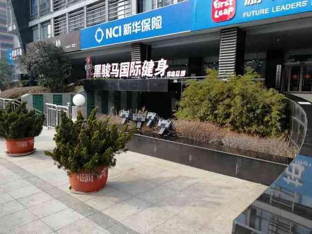 黑骏马健身俱乐部官网有什么特色服务?-第1张图片-德高鼎泰便民中心 黑骏马健身俱乐部官网有什么特色服务?-第1张图片-德高鼎泰便民中心