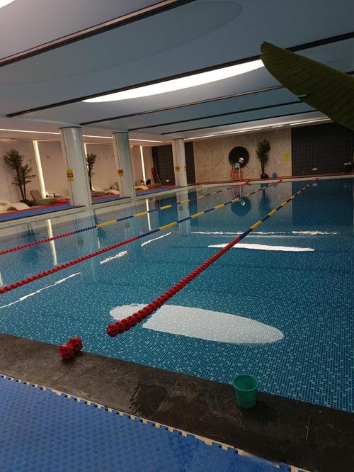 燕郊8号游泳健身会所怎么样？-第2张图片-德高鼎泰便民中心