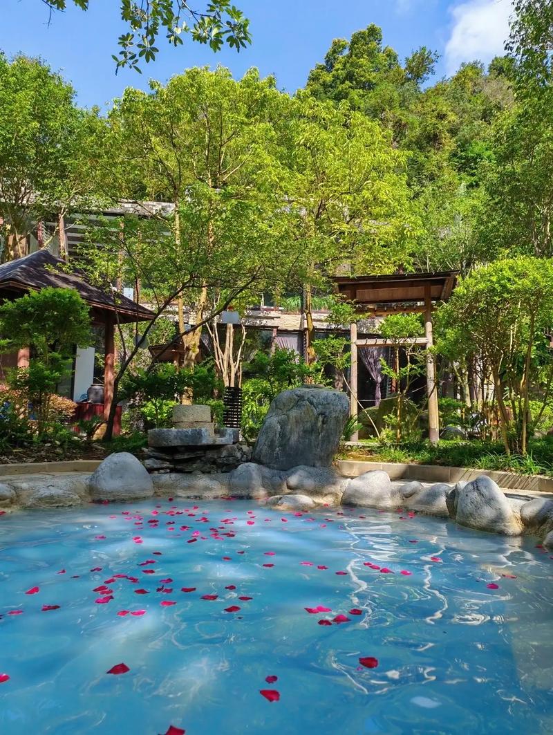 温泉假日温泉酒店预订-第2张图片-德高鼎泰便民中心 温泉假日温泉酒店预订-第2张图片-德高鼎泰便民中心