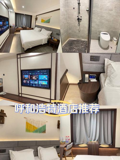 呼和浩特主题酒店哪家好?预订有什么技巧?-第1张图片-德高鼎泰便民中心 呼和浩特主题酒店哪家好?预订有什么技巧?-第1张图片-德高鼎泰便民中心