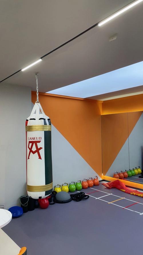 沙井哪家健身俱乐部最好?-第1张图片-德高鼎泰便民中心 沙井哪家健身俱乐部最好?-第1张图片-德高鼎泰便民中心