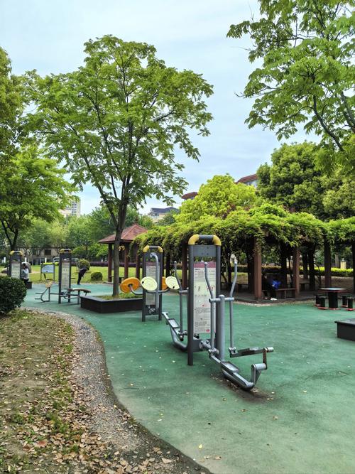 江门艾尚健身东湖花园怎么样?-第1张图片-德高鼎泰便民中心 江门艾尚健身东湖花园怎么样?-第1张图片-德高鼎泰便民中心