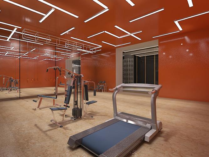 苏州体格健身宝力豪，效果如何？-第3张图片-德高鼎泰便民中心