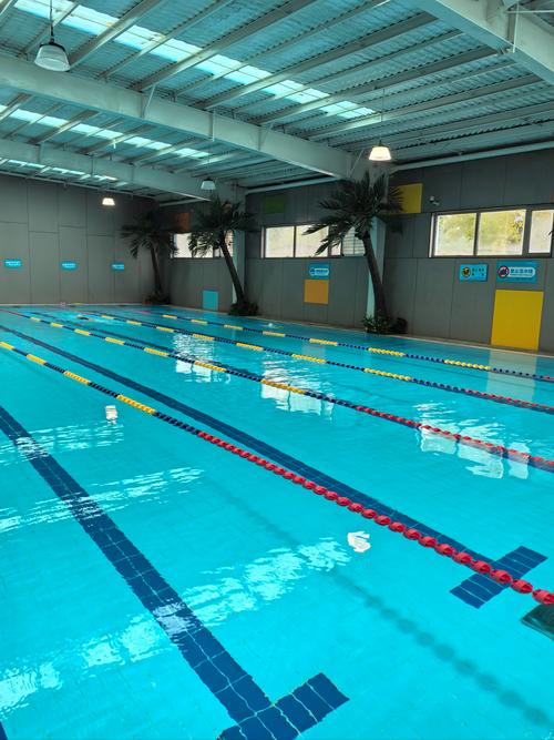 呼和浩特大道游泳健身怎么样?-第3张图片-德高鼎泰便民中心 呼和浩特大道游泳健身怎么样?-第3张图片-德高鼎泰便民中心