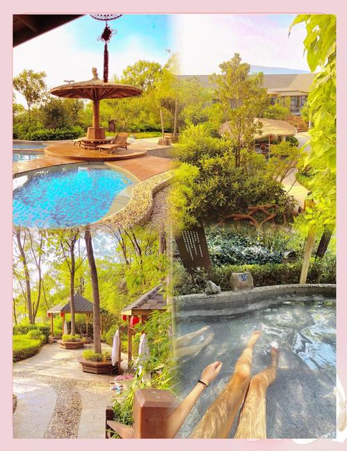 森林溪谷温泉酒店怎么预订最划算？-第1张图片-德高鼎泰便民中心