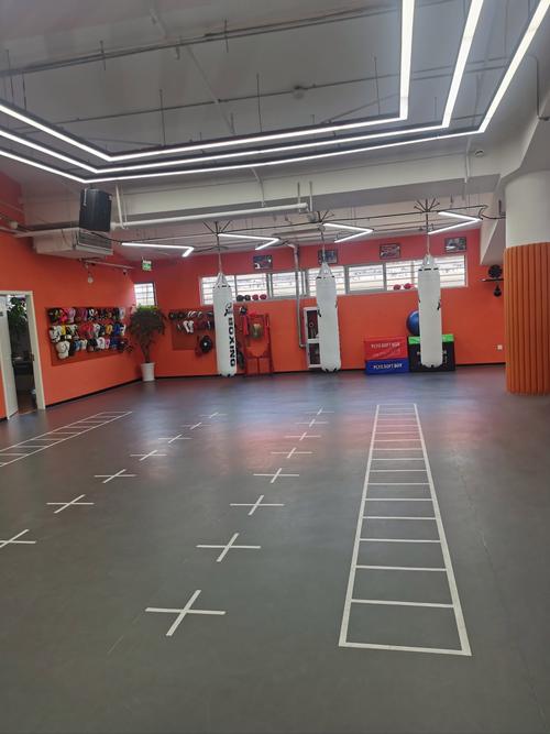 石家庄搏击健身俱乐部哪家强?-第1张图片-德高鼎泰便民中心 石家庄搏击健身俱乐部哪家强?-第1张图片-德高鼎泰便民中心