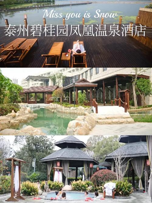 泰州凤凰温泉酒店怎么预订最划算?-第3张图片-德高鼎泰便民中心 泰州凤凰温泉酒店怎么预订最划算?-第3张图片-德高鼎泰便民中心