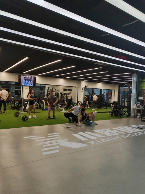 北海大卫山道国际健身-第2张图片-德高鼎泰便民中心