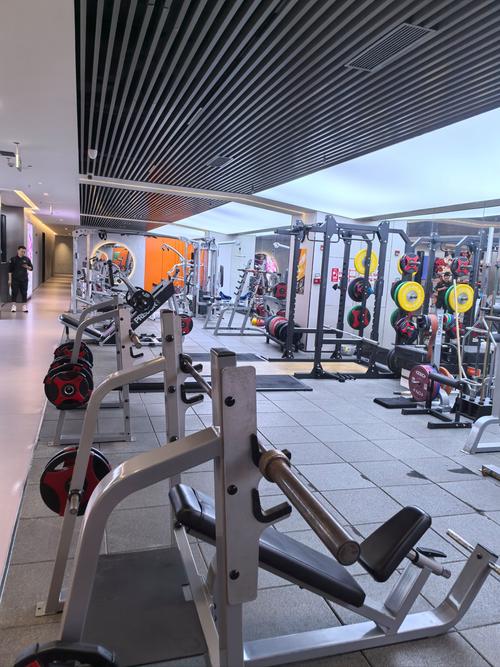 南宁私人订制健身会所-第1张图片-德高鼎泰便民中心 南宁私人订制健身会所-第1张图片-德高鼎泰便民中心