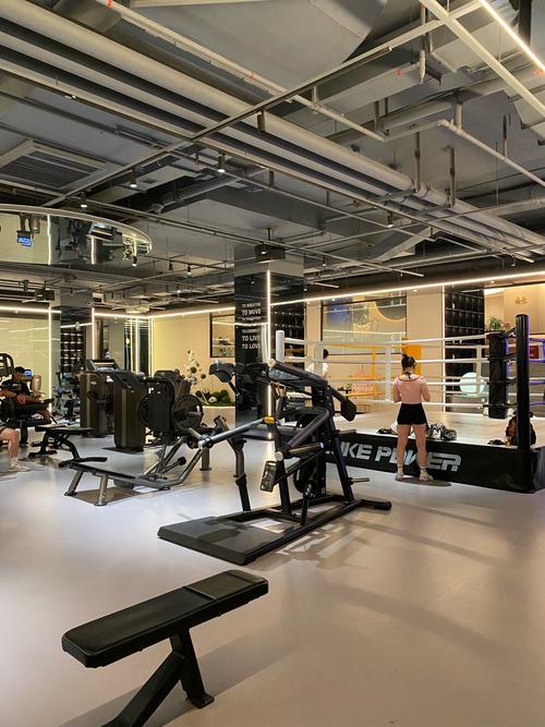 国际健身俱乐部有何特色优势？-第2张图片-德高鼎泰便民中心