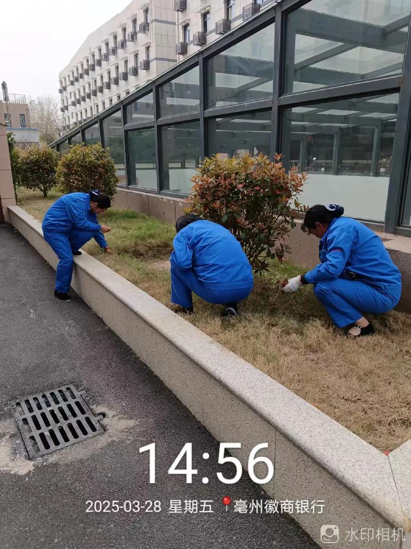 物业清洁卫生管理案例有何借鉴之处？-第3张图片-德高鼎泰便民中心