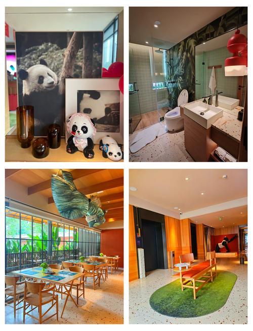 青城熊猫主题酒店怎么预订最优惠?-第1张图片-德高鼎泰便民中心 青城熊猫主题酒店怎么预订最优惠?-第1张图片-德高鼎泰便民中心