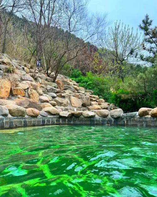 泰安温泉会议酒店怎么预订最优惠?-第1张图片-德高鼎泰便民中心 泰安温泉会议酒店怎么预订最优惠?-第1张图片-德高鼎泰便民中心