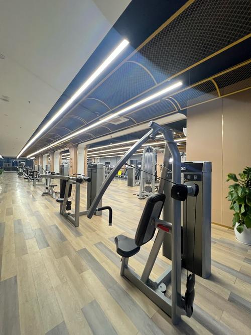 汕头健身房带泳池的有哪些?-第1张图片-德高鼎泰便民中心 汕头健身房带泳池的有哪些?-第1张图片-德高鼎泰便民中心