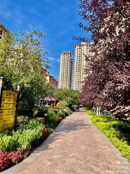 哈尔滨物业最好的小区是哪个？-第1张图片-德高鼎泰便民中心