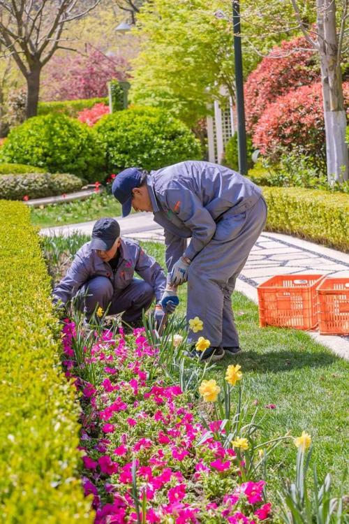 物业服务品质如何有效提升？-第1张图片-德高鼎泰便民中心