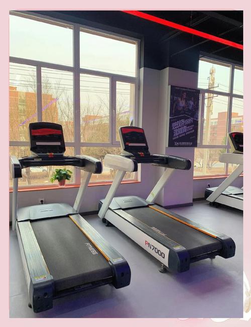 沈阳太原街健身房价格大揭秘，办张卡到底要花多少钱？-第1张图片-德高鼎泰便民中心