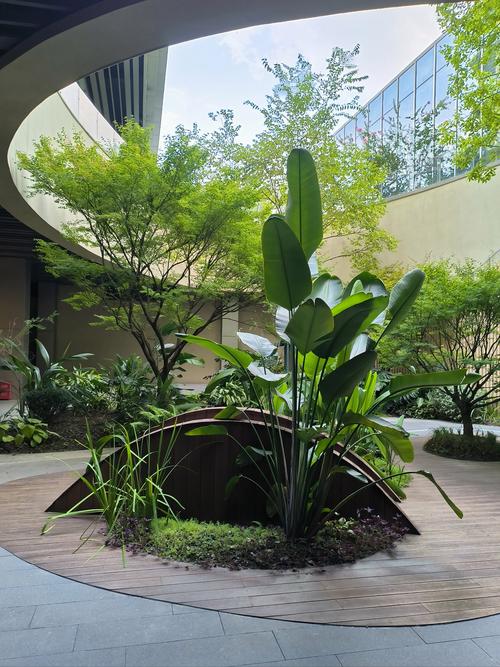 绍兴国际大酒店健身房设施如何？-第1张图片-德高鼎泰便民中心