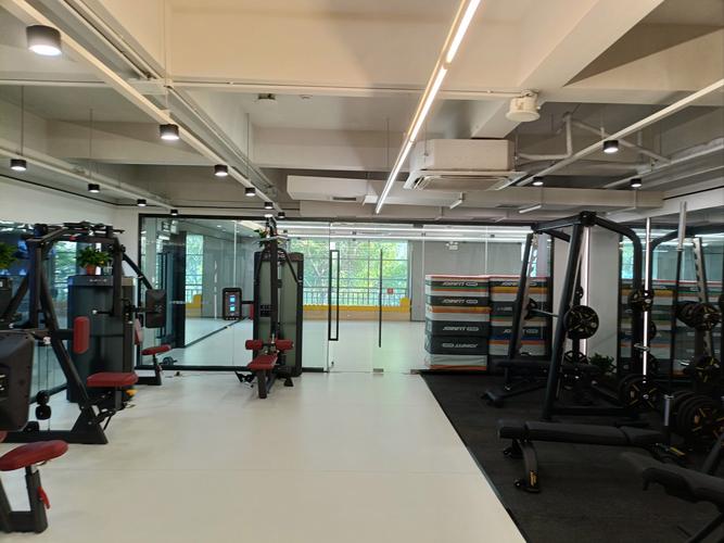 开封鼓楼新动力健身房有何独特魅力？-第2张图片-德高鼎泰便民中心