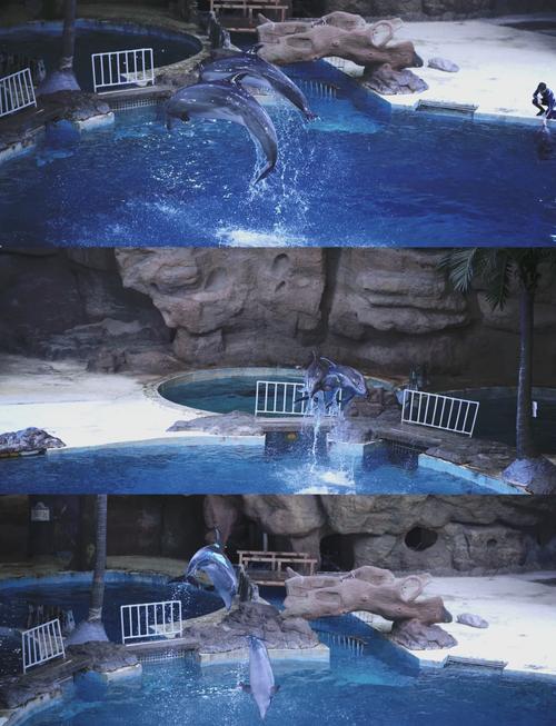 萧山极地公园酒店怎么预订最优惠?-第2张图片-德高鼎泰便民中心 萧山极地公园酒店怎么预订最优惠?-第2张图片-德高鼎泰便民中心