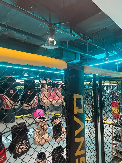 青岛全时健身门店数量是多少?-第1张图片-德高鼎泰便民中心 青岛全时健身门店数量是多少?-第1张图片-德高鼎泰便民中心