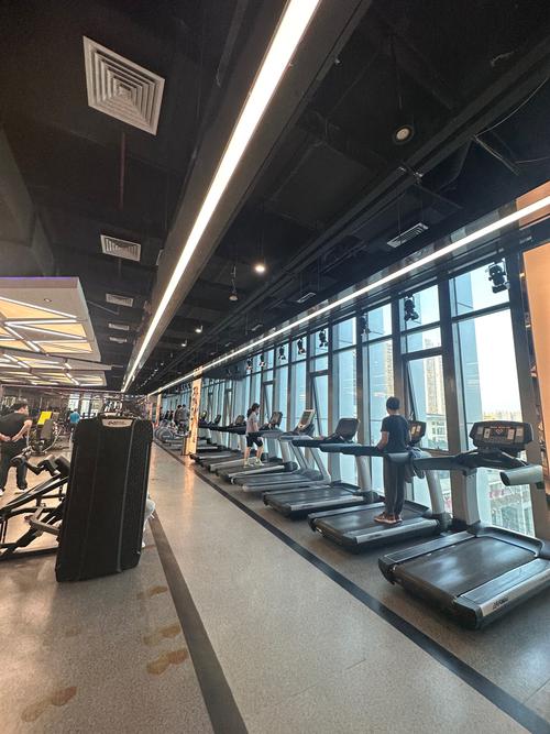 青岛自由界健身价格多少？-第3张图片-德高鼎泰便民中心