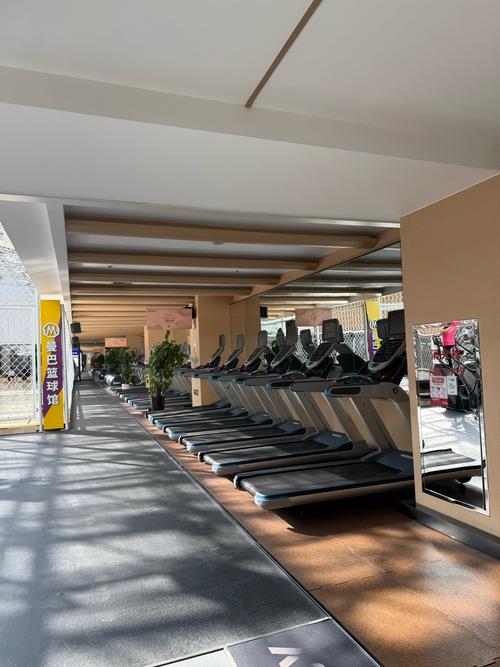 乌鲁木齐北京路健身房哪家好?-第3张图片-德高鼎泰便民中心 乌鲁木齐北京路健身房哪家好?-第3张图片-德高鼎泰便民中心