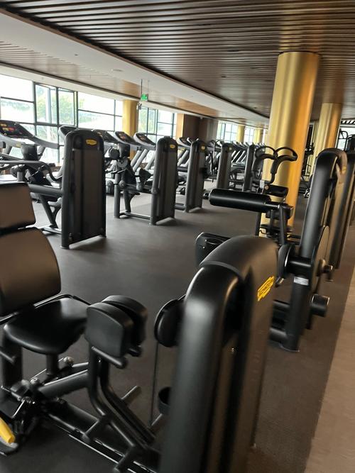 蚌埠亚历山大健身价格多少？-第2张图片-德高鼎泰便民中心