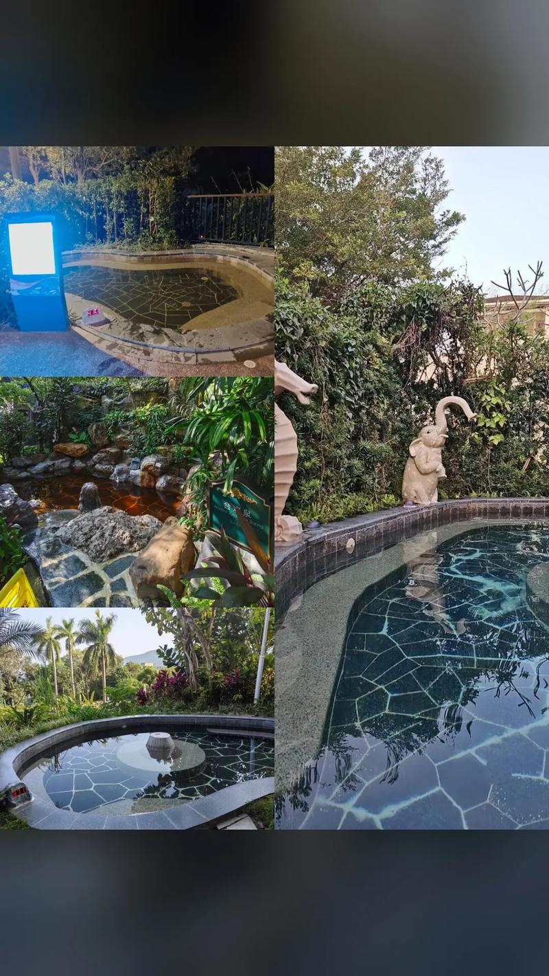 从化金叶温泉酒店怎么预订最优惠？-第3张图片-德高鼎泰便民中心