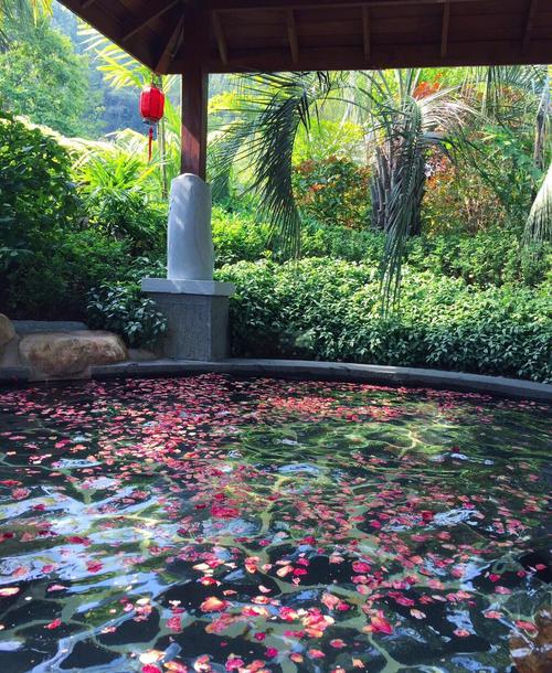 佛山附近温泉酒店怎么选？-第2张图片-德高鼎泰便民中心