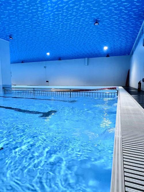 尚体国际游泳健身会所怎么样?-第1张图片-德高鼎泰便民中心 尚体国际游泳健身会所怎么样?-第1张图片-德高鼎泰便民中心