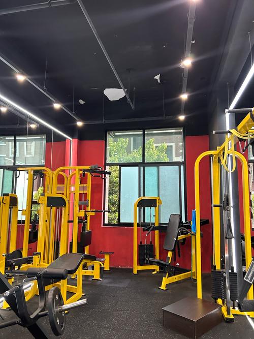 哈尔滨私人健身工作室有何独特优势？-第2张图片-德高鼎泰便民中心