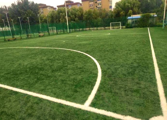 沈阳浑南全民健身中心有何特色功能？-第2张图片-德高鼎泰便民中心